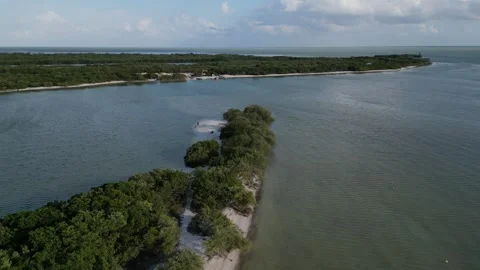 Drone Pullback Showing Jungle Meeting the Open Ocean Vídeos de archivo 321418962