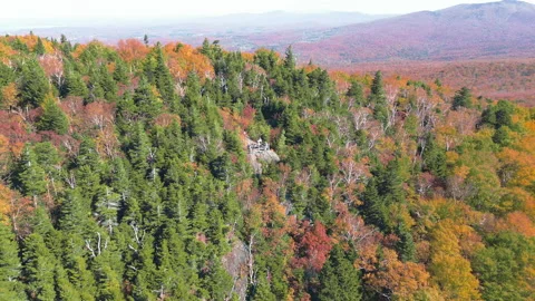 Drone pullback showing scenic viewpoint with tourists in autumn colors Stock Footage 318546593