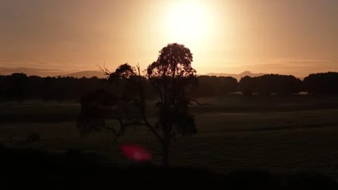 Drone pullback sunrise over rural fields Hamilton New Zealand cinematic Video stock 333829712