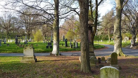 Drone pullback through Gothic headstones Greenwood Cemetery Brooklyn Stock Footage 129272686