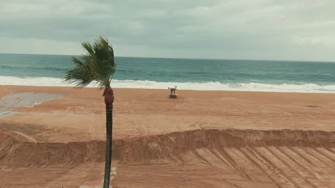 Drone pulls away from a lifeguard tower on Newport Beach revealing palm tree Видео 347743810