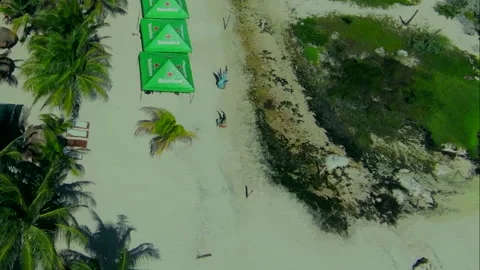 Drone Pulls Back and Rises over a Pacific Resort Beach Stock-Footage 347152499