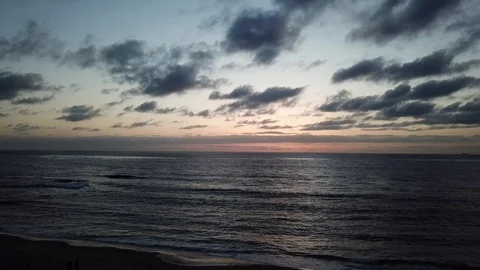 Drone pulls back through palm trees from ocean after sunset Stock Footage 87959652