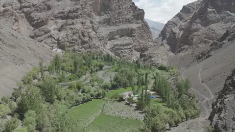 Drone Push In Above Green Forest Towards Ladakh Mountains with Farmland House Stock-Footage 335764663