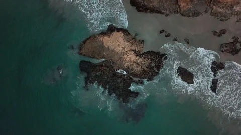 Drone Push In With Birds Stock Footage 118270444