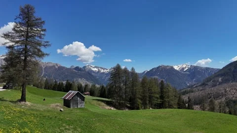 Drone Push Forward Over Wildflower Meadows with Isolated Wooden Hut in t Vídeo Stock 338158072
