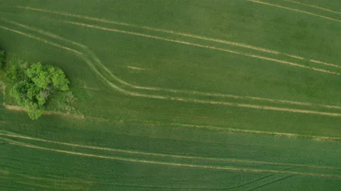 Drone Push In Orbit Shot Of Blooming Fields Stock Footage 132346325