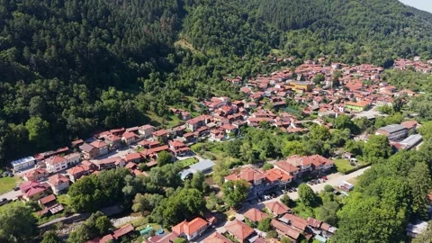 Drone Push In Over Cherni Osam Valley Pine Forests Bulgaria Stock-Footage 343914414