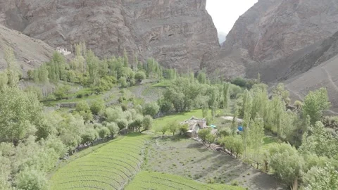 Drone Push In Over Green Fields and Farmhouse in Ladakh Mountain Landscape Over Stock Footage 335744716