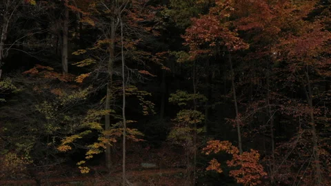 Drone push pull through fall foliage landscape Stock Footage 321726627