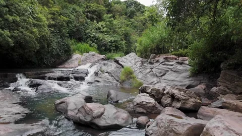 Drone Push-In Shot of Mountain River in the Forest Stock Footage 314667351