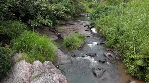 Drone Push In Shot of Mountain Small River Flowing Through Lush Forest Sri L Stock Footage 314667207