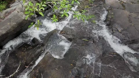 Drone Push In Shot Over Small River Flowing Through Rocks in Lush Forest Stock Footage 314667050