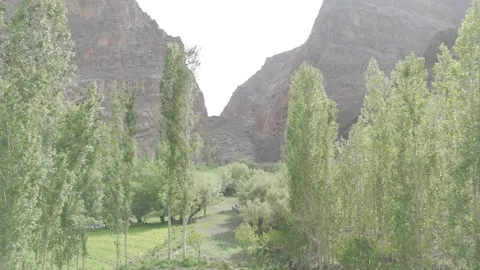 Drone Push In Through Lush Green Forest Towards Ladakh Mountains Over the Stock-Footage 335743730
