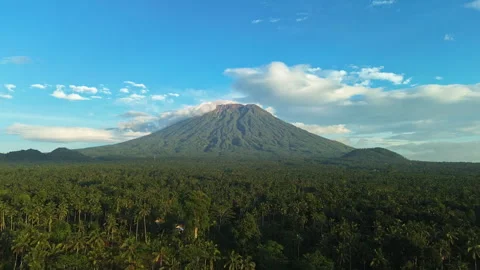 Drone push-in through tropical forest toward Mt. Agung, Bali 스톡 동영상 336483832