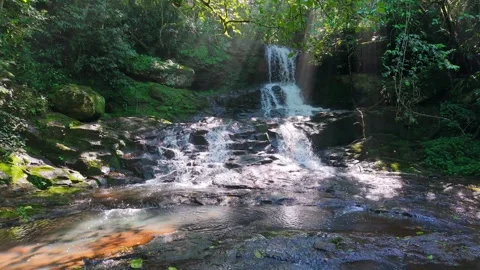 Drone push in toward Salto Guatambú waterfall pool in Misiones Atlantic Forest Stock-Footage 334777979