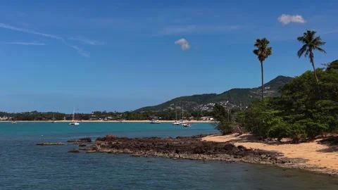 Drone Push In Toward Tropical Bay With Sailboats and Palm Trees Video stock 336319281