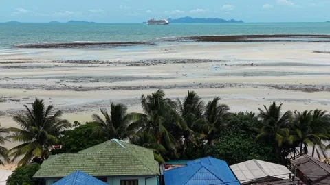Drone Push In Toward Tropical Shore With Cruise Ship 库存影片 336257010