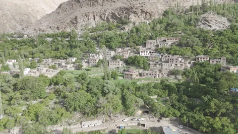 Drone Push In Towards Ladakh Mountains with Hillside Houses and Green Forest Vídeos de archivo 335760465