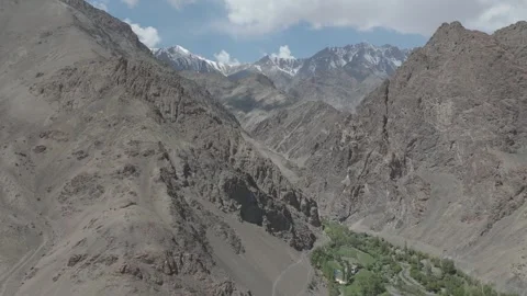 Drone Push In Towards Snow Covered Ladakh Mountains with Lush Green Forest Over Stock-Footage 335763170