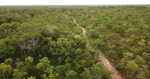 Drone push-in view of a dirt road in the Cerrado biome, Tocantins Stock Footage 317731968