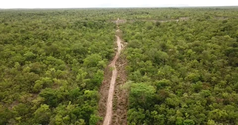Drone push-in view of a dirt road in the Cerrado biome, Tocantins Stock Footage 317732200