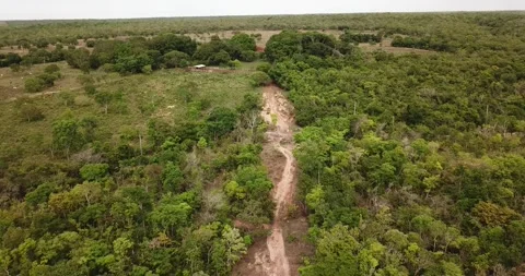 Drone push-in view of a dirt road in the Cerrado biome, Tocantins Stock Footage 317732210