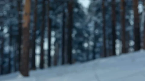 Drone quadcopter on the forest background Stock Footage 87770996