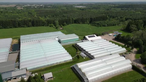 Drone = Quick High Cruise Looking Down at Greenhouses Stock Footage 314227648