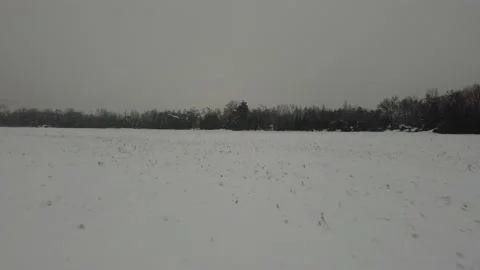 A drone quickly flies over a snowy field Stock Footage 145776463