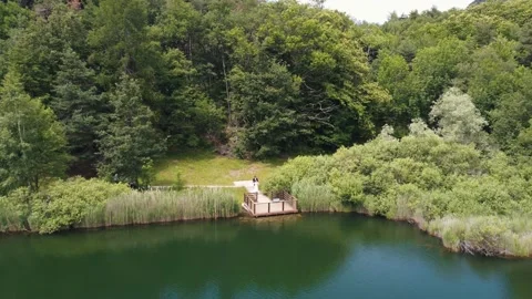 Drone quickly flying over lake pond with bride groom having fun on lakeshore Stock Footage 160712830