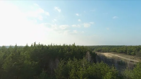 Drone racing view. Fly over forest at sunset. Dynamic shot 库存影片 106529592
