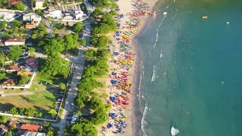 Drone rain forest tropical beach Stock Footage 265813174