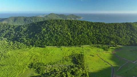 Drone rain forest tropical beach Stock Footage 265813252