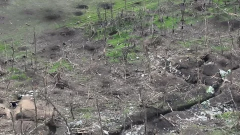 Drone Reconnaissance: Searching for Enemy Positions in Treeline Stockbeeldmateriaal 332354796