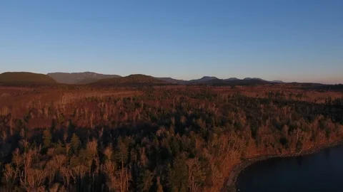 Drone of red Autumn pine forest where it meets the sea Video stock 126998404