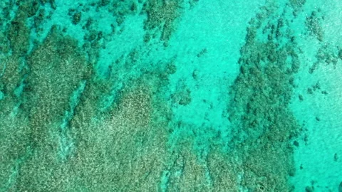 Drone Reef Shallow Water, Oahu, Hawaii Stock Footage 220734589