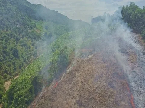 Drone Removes from Burning Land Plot near Banana Plantations Stock Footage 80076840