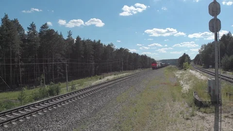 A drone removes a passing freight train through a coniferous forest. Vídeo Stock 118884470