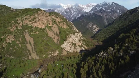 Drone Reveal From Forest Camp To Mountain Gorge. Kazakhstan, Sayram-Ugam Park Vidéo 332943526