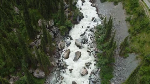 Drone Reveal From Forest River To Mountain Valley. Kyrgyzstan, Karakol Stock Footage 332937851