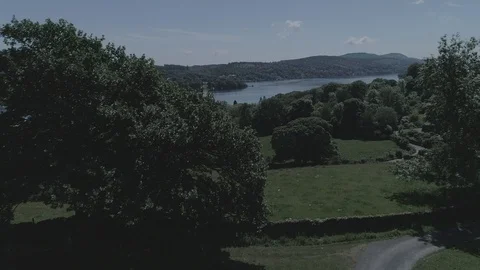 Drone reveal of lake between two trees - DLog - Windermere, Lake District Stock Footage 90903826