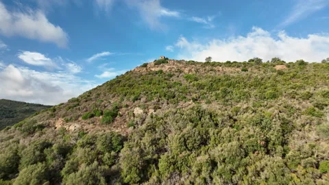 Drone reveal mountain Stock Footage 231569293