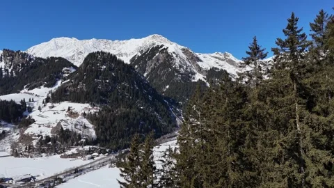 Drone Reveal from Pine Forest to Snow-Covered Mountain in South Tyrol Stock Footage 332164897