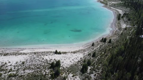 Drone Reveal from Sandy Beach to Eagle Lake, Chilcotin, BC Stock Footage 318321977