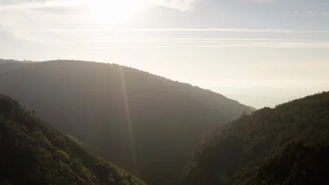 Drone Reveal Of Setting Sun Behind Lush Green Forest And Mountains Stock Footage 114572027