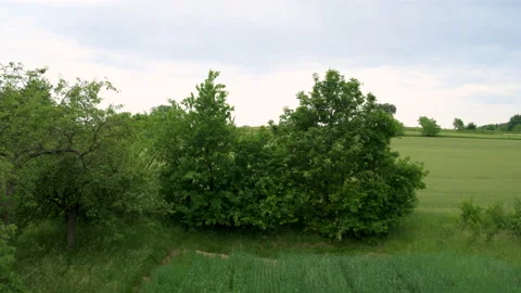 Drone Reveal Shot Of Farming Fields Stock Footage 132342759