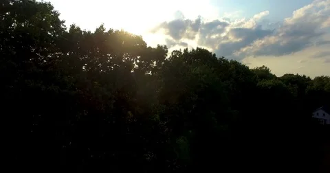 Drone reveal shot of the forest Video stock 79665148