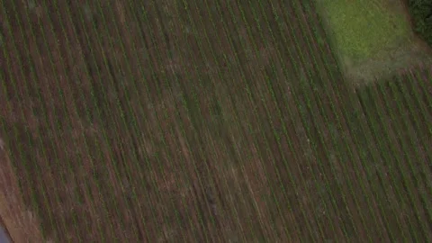 Drone Revealing Church Over Fields Cinematic French Landscape Vidéo 331661362