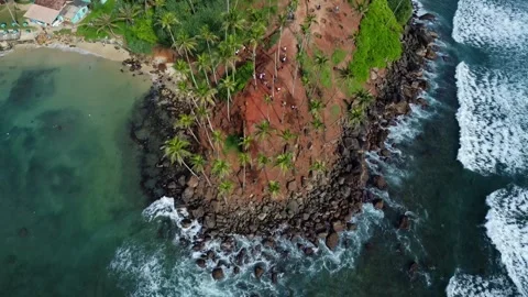 Drone Revealing Coconut Tree Hill, Mirissa Stock Footage 313976908